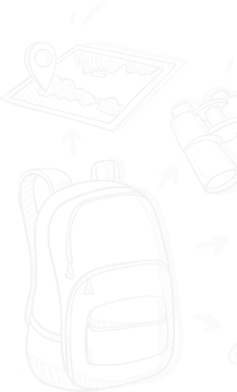 Vector 3