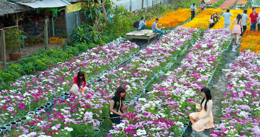 See the Largest Flower Village in Da Lat