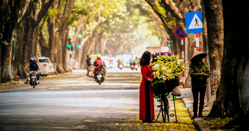 Hoang Dieu Street Morning