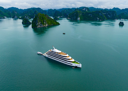 Sea Stars Cruise