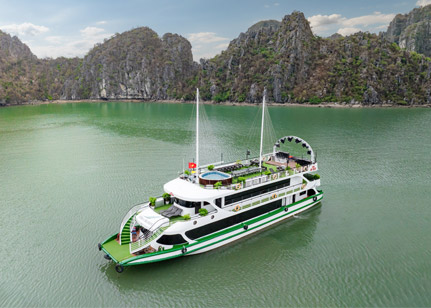 Vera Cruise