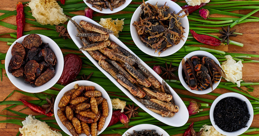 Dishes From Insects