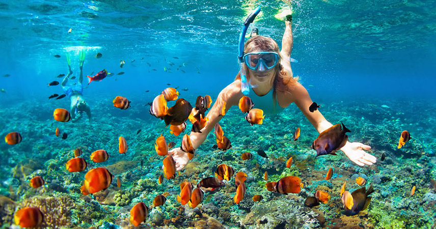 Snorkeling and Diving, Phi Phi Island