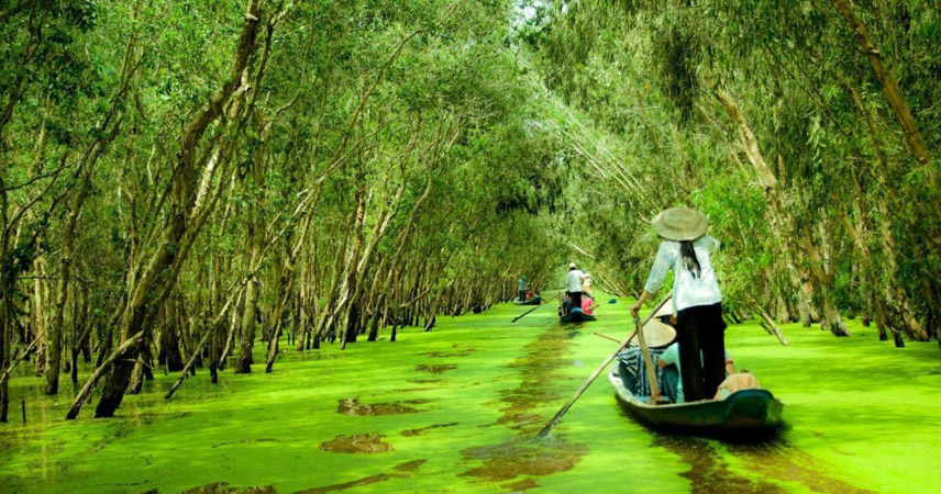 Tourists enjoy the experience of traveling in Tra Su cajuput forest