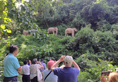 RV Laos Pandaw Cruise 11 Days 10 Nights (Upstream)