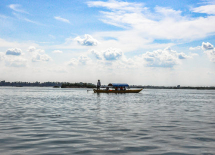 Irrawaddy dolphins