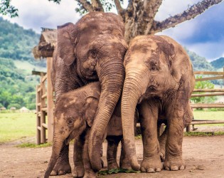 Explore the Best of Thailand